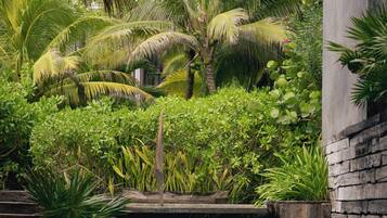 Alberca al aire libre y camastros