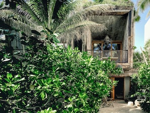 A rustic building with a balcony, surrounded by dense tropical foliage.