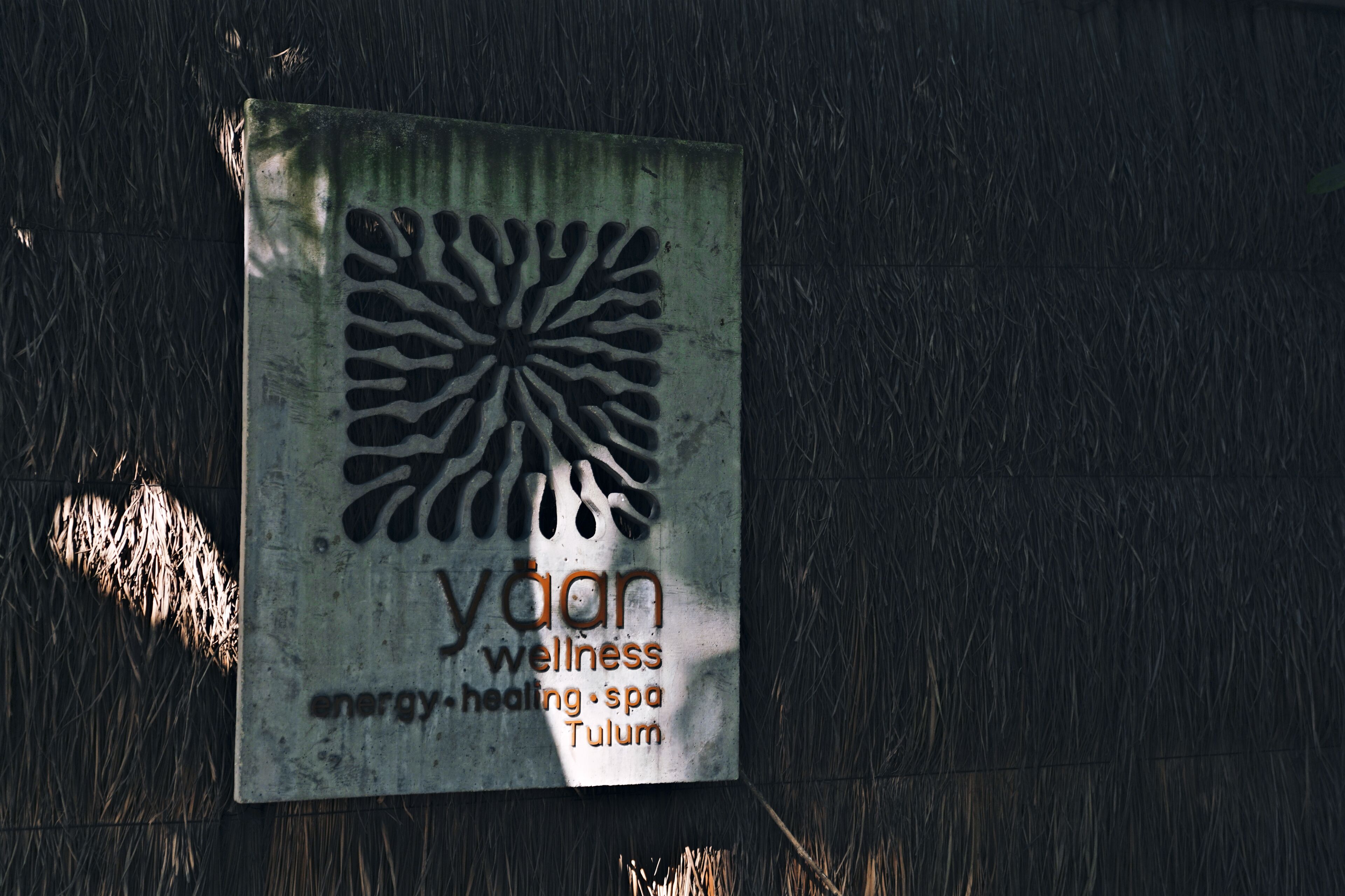 Photo - BE Destination Tulum