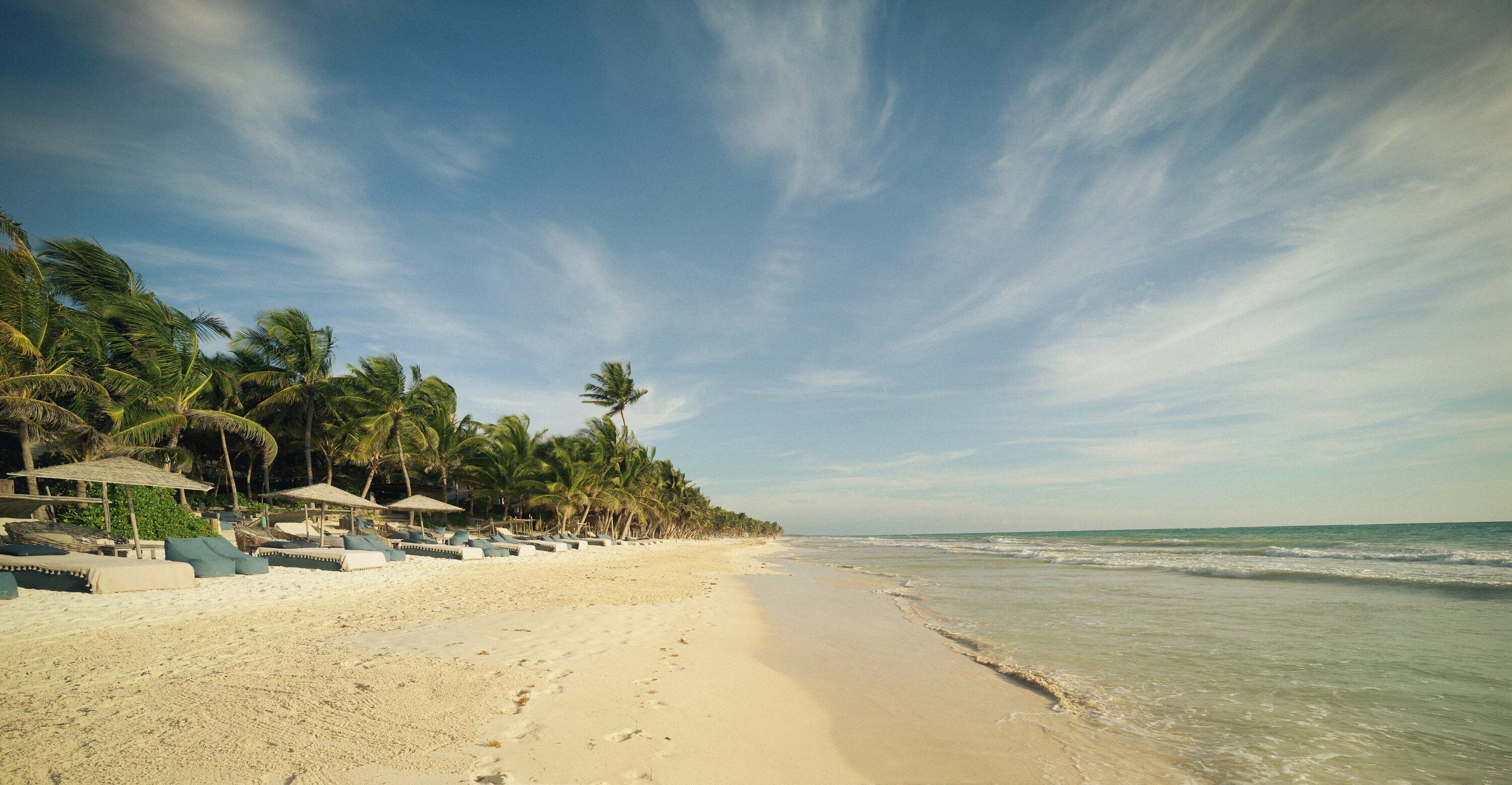 A beach with sun loungers and umbrellas, palm trees, and a clear sky.