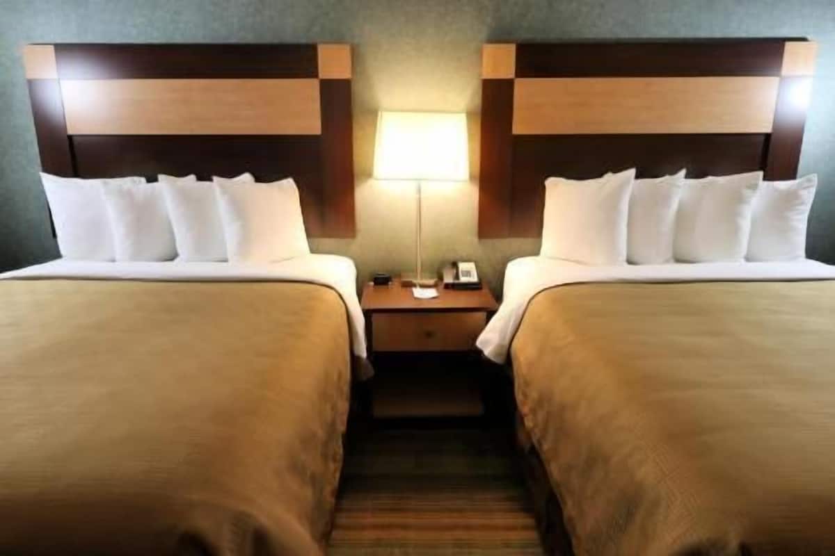 Desk, iron/ironing board, free WiFi, bed sheets