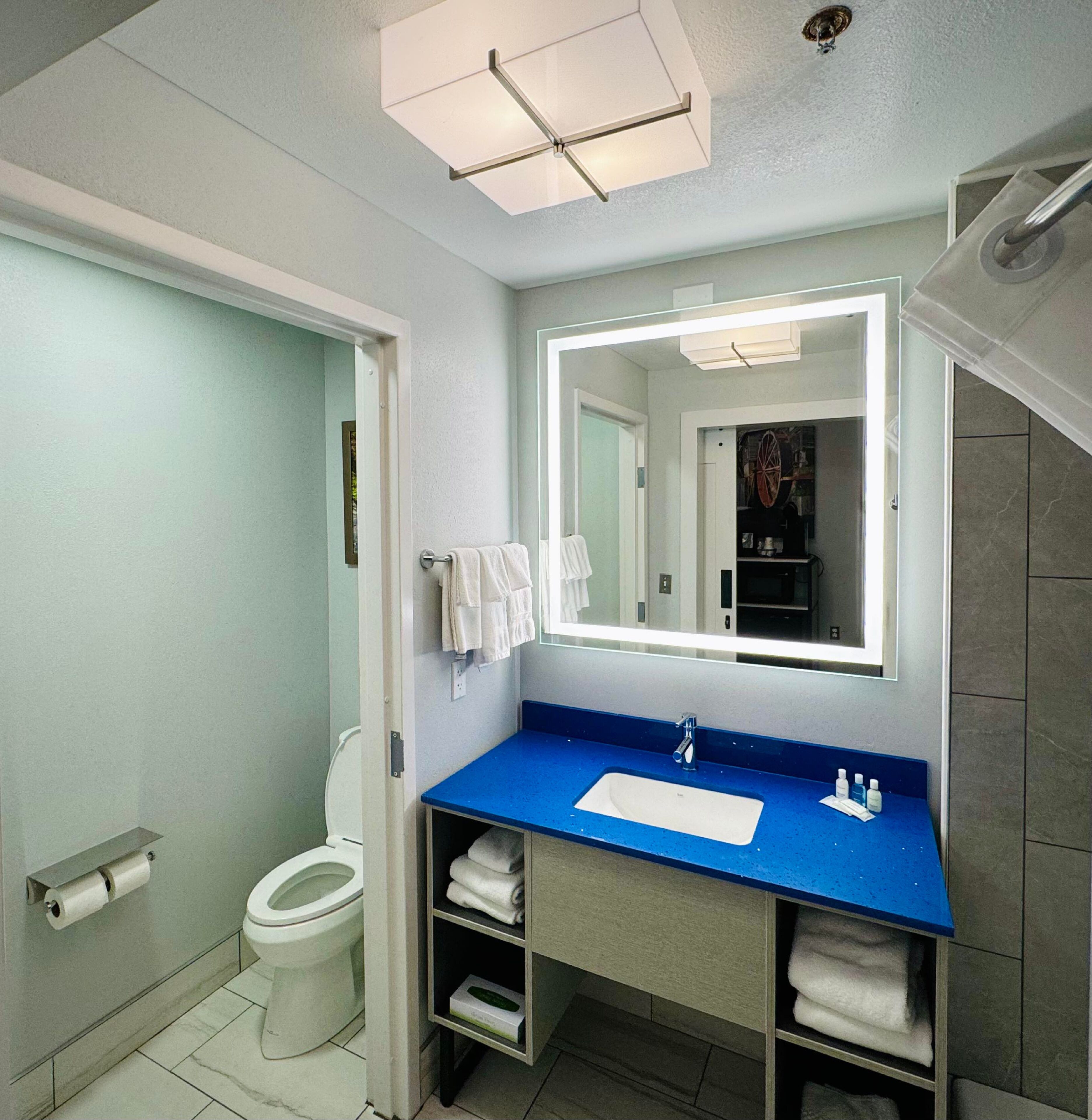 combined shower/bathtub, free toiletries, hair dryer, towels