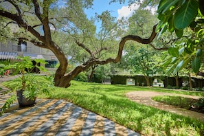 Exterior - Hotel Saint Cecilia (Austin)