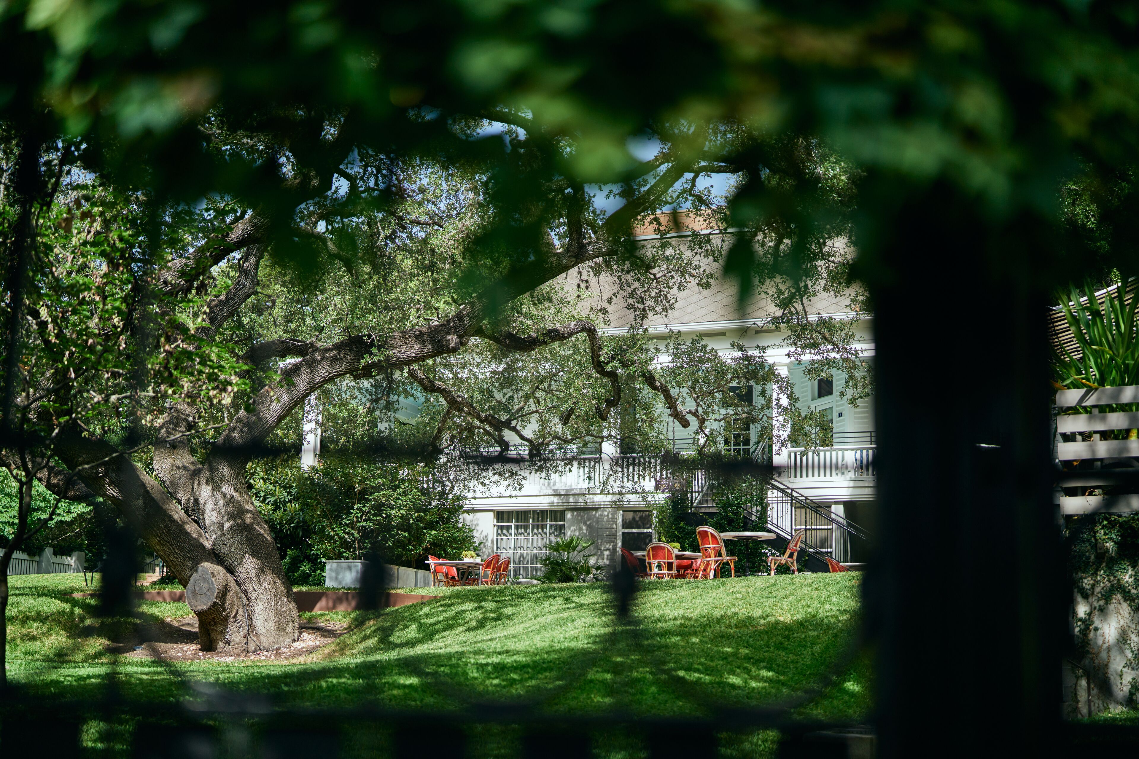 Une maison avec un grand arbre au premier plan, une façade blanche et un patio agrémenté de chaises rouges.