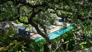 A pool area with lounge chairs and umbrellas, surrounded by lush greenery and trees. - Hotel Saint Cecilia (Austin)