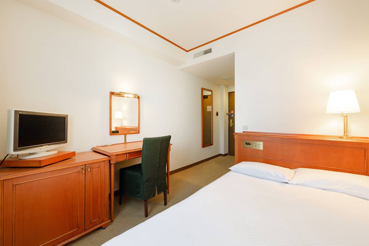 Une chambre d’hôtel comprenant un lit, un bureau avec une télévision, une chaise, un miroir et une lampe.