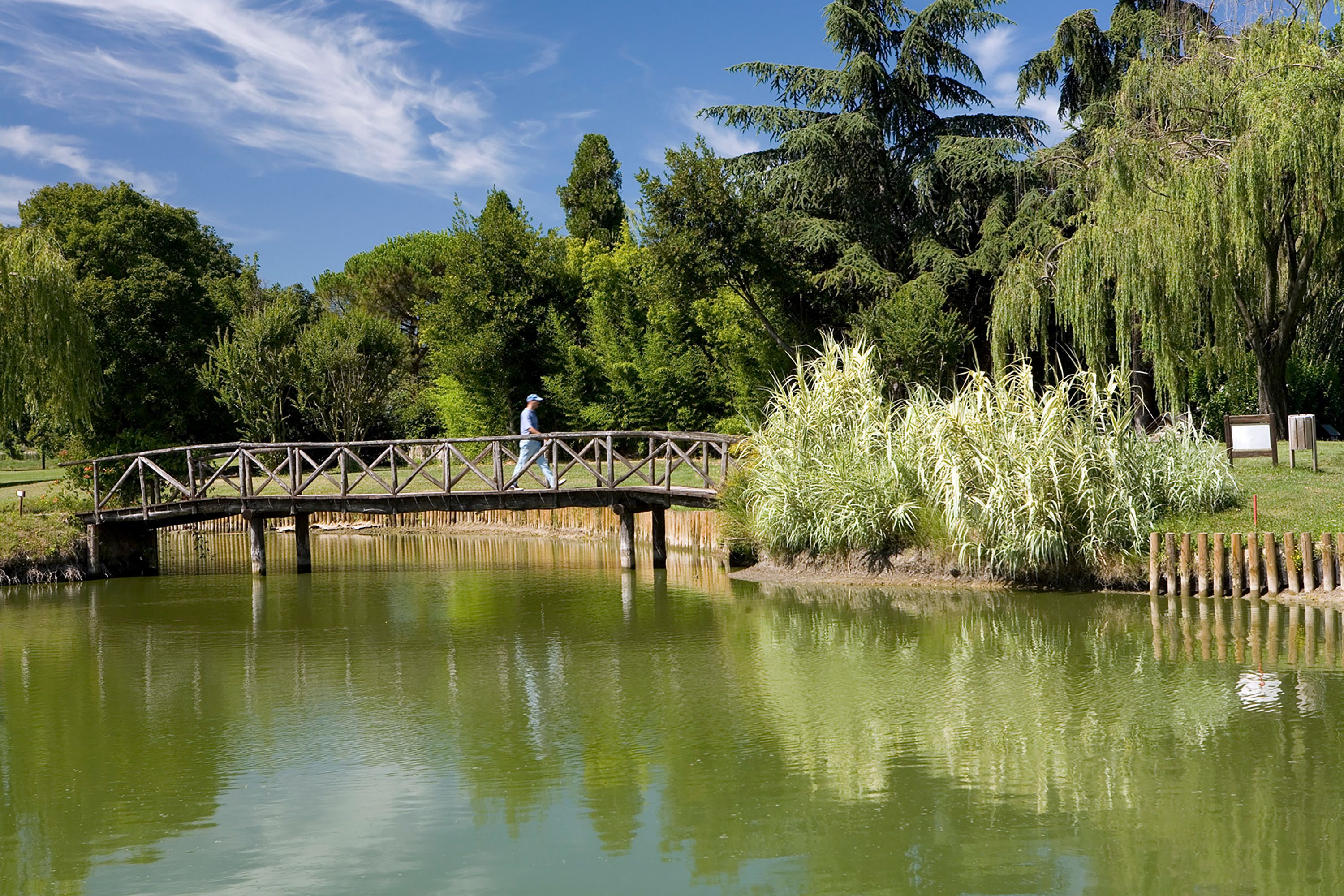A wooden bridge over a calm pond with lush greenery and trees in the background.