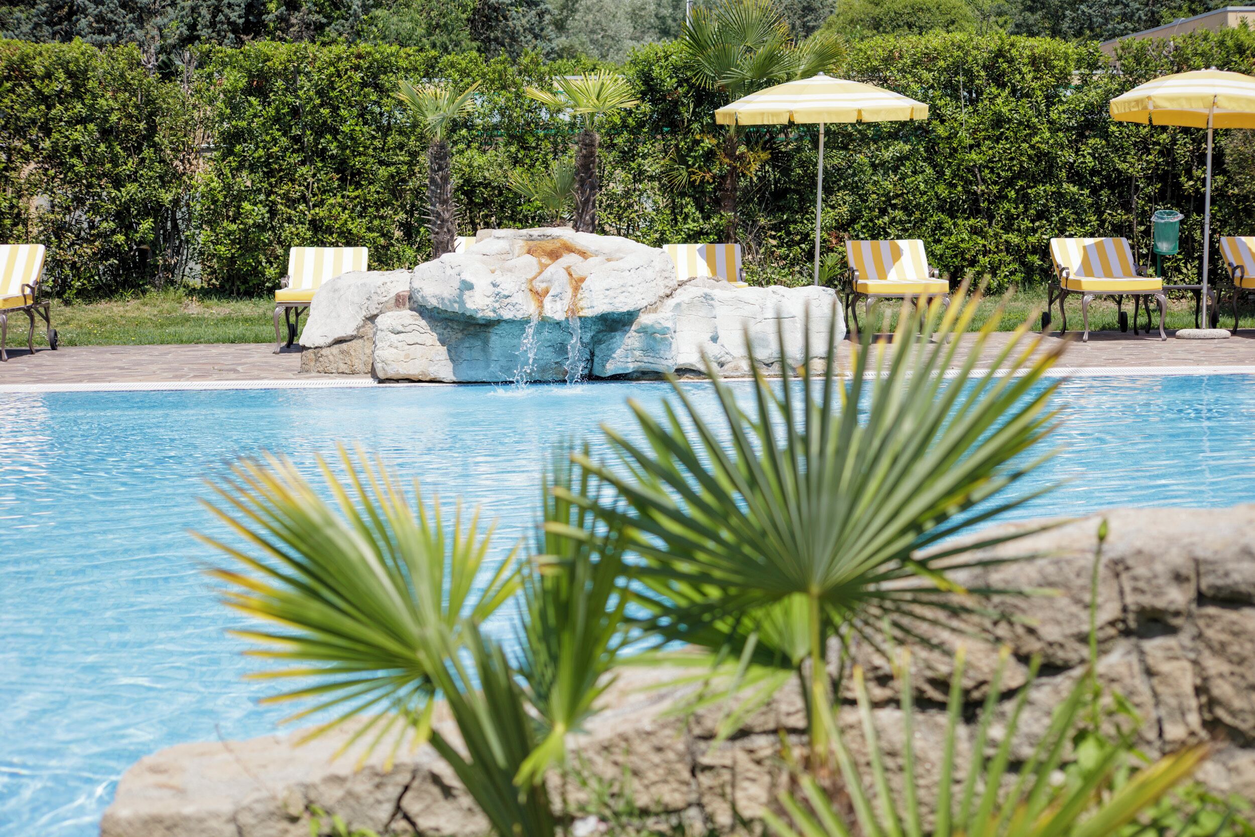 A swimming pool with lounge chairs and umbrellas, surrounded by greenery.