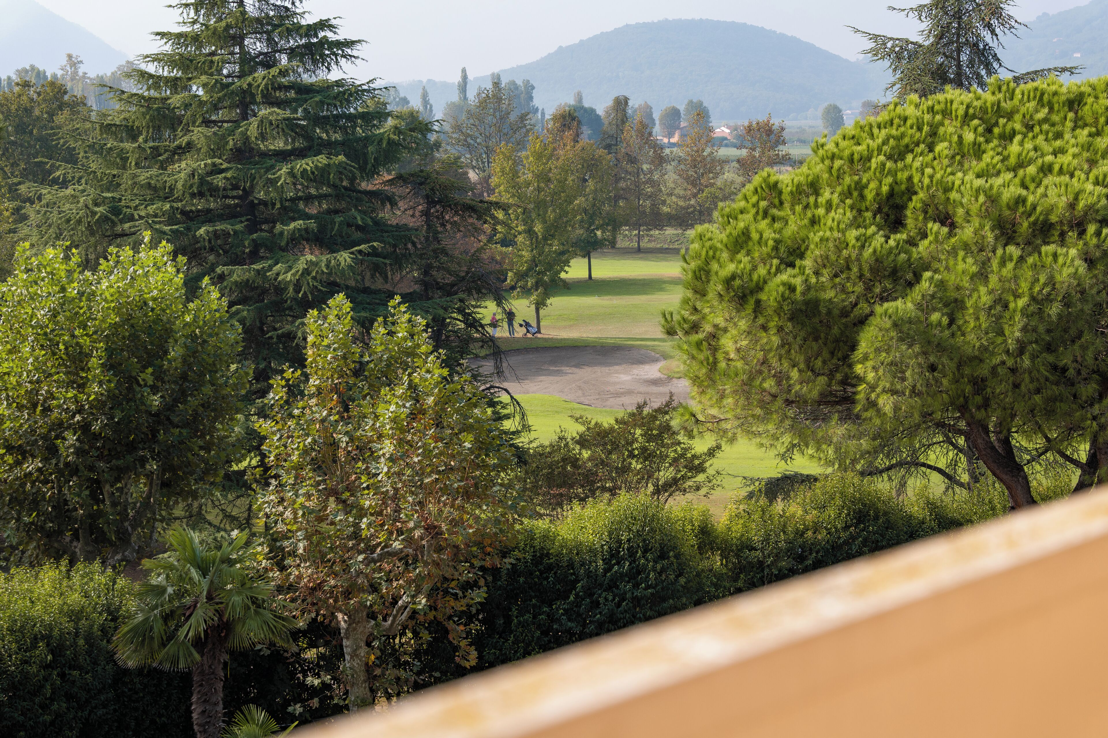 A view of a golf course with a variety of trees and a distant mountain range.
