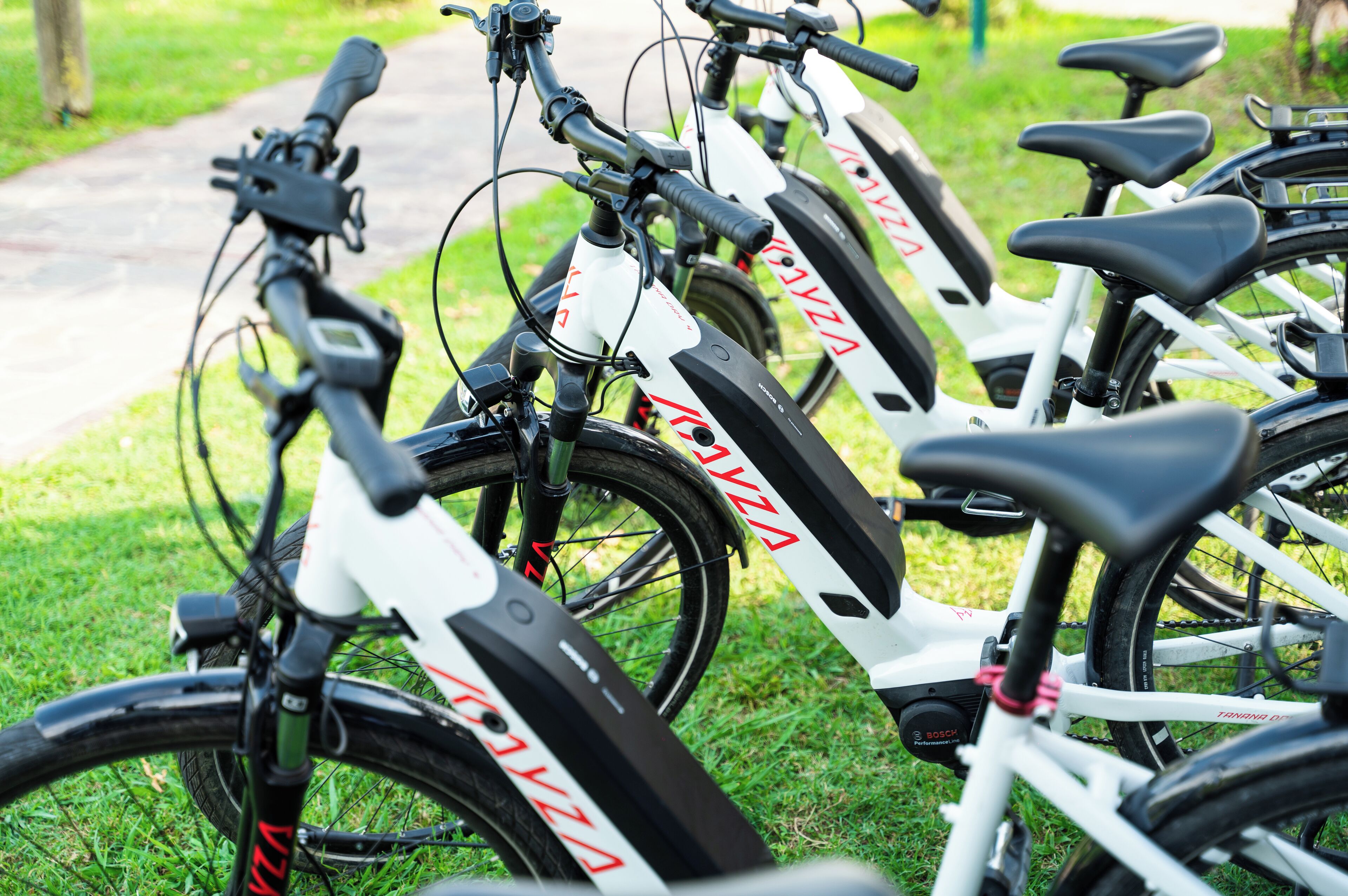 A row of bicycles parked on grass.