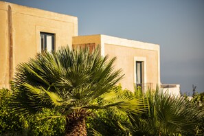 Kahden hengen executive-huone | Terassi/patio