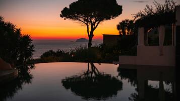 A serene sunset view with a tree silhouette and calm water reflecting the sky.