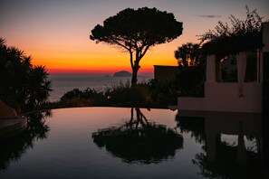A serene sunset view with a tree silhouette and calm water reflecting the sky.