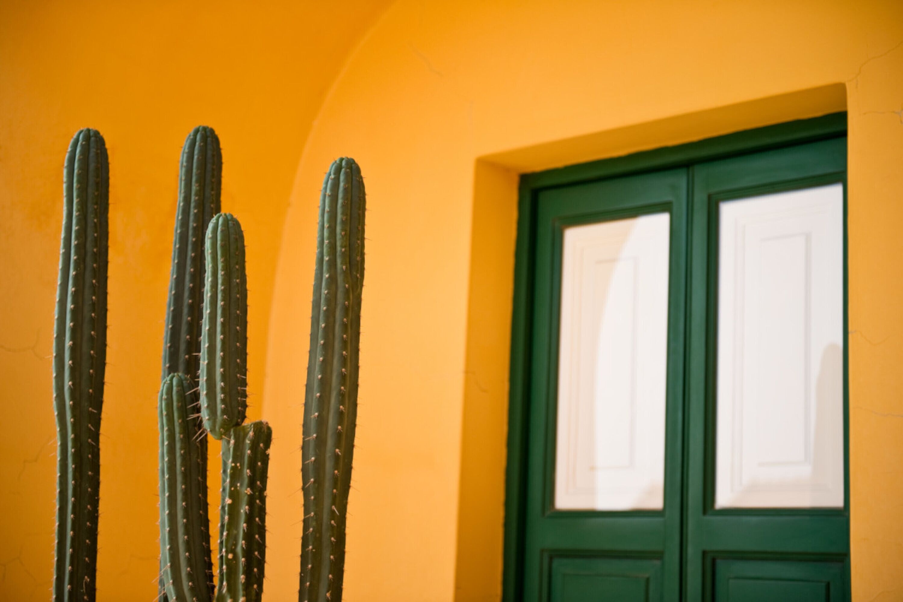 Superior Double Room | Terrace/patio