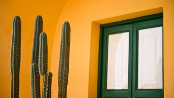 Superior Double Room | Terrace/patio