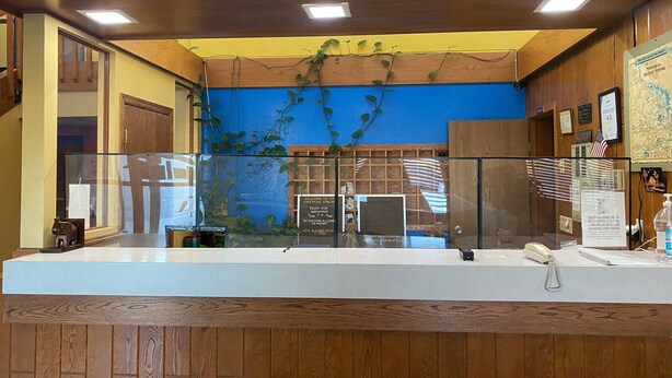Un comptoir d’accueil avec un revêtement en bois, une cloison en verre et un mur bleu orné de plantes grimpantes.