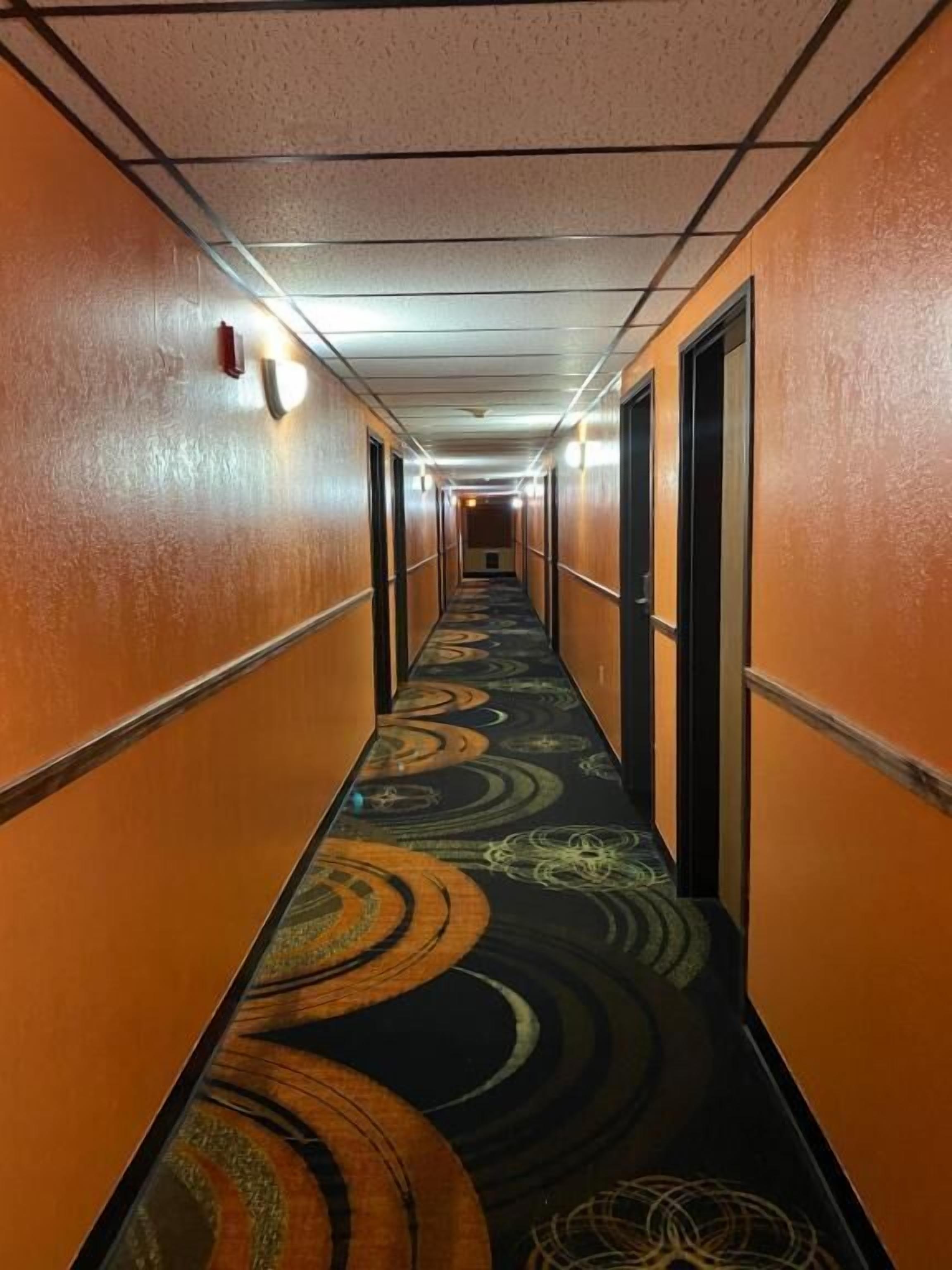 A hotel corridor with a patterned carpet, orange walls, and doors on both sides.