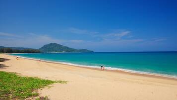 Private beach, beach towels, beach volleyball, rowing