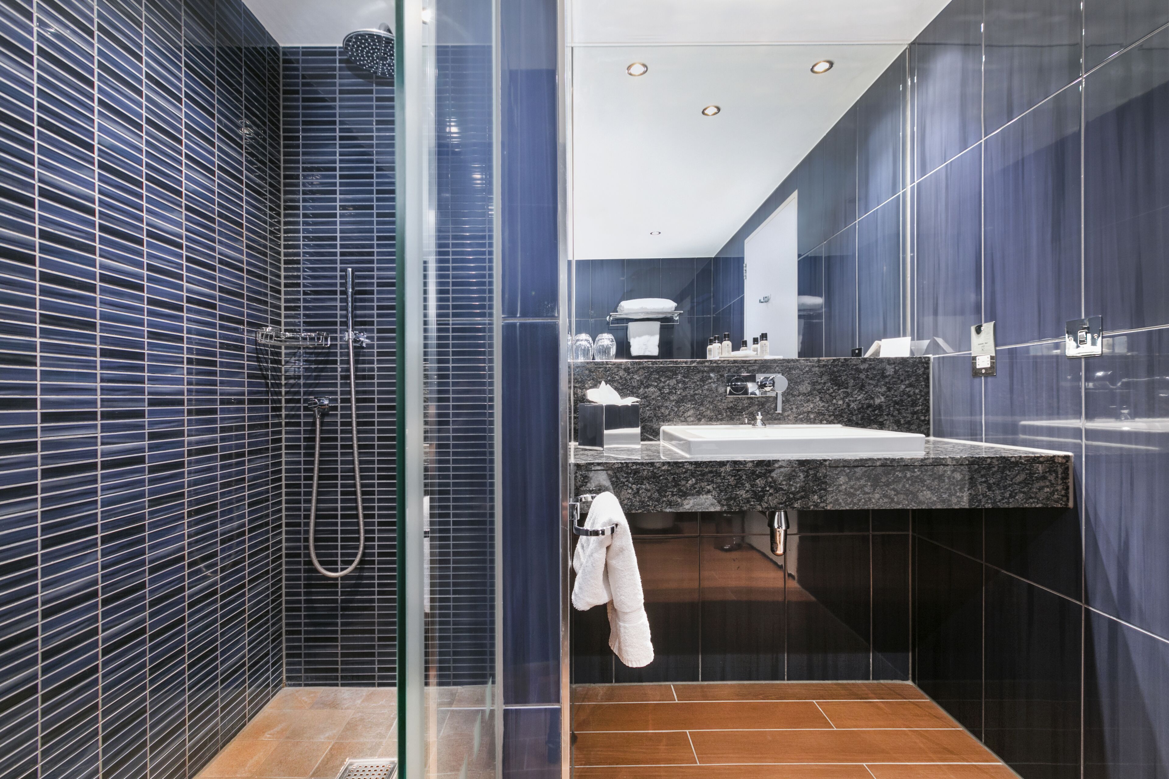 shower, rainfall showerhead, free toiletries, hair dryer