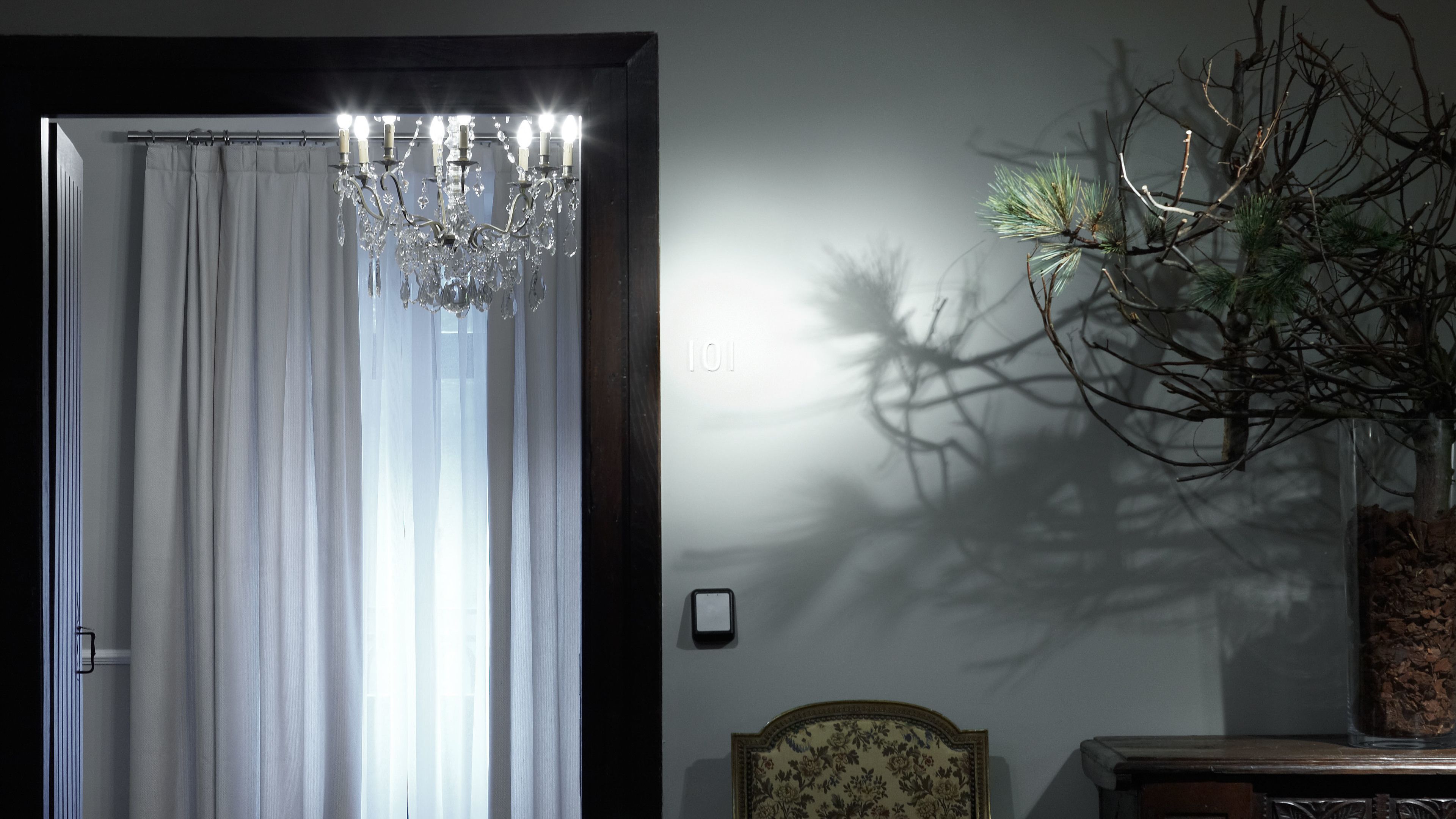 A room with a chandelier, a potted plant, and a door with curtains.