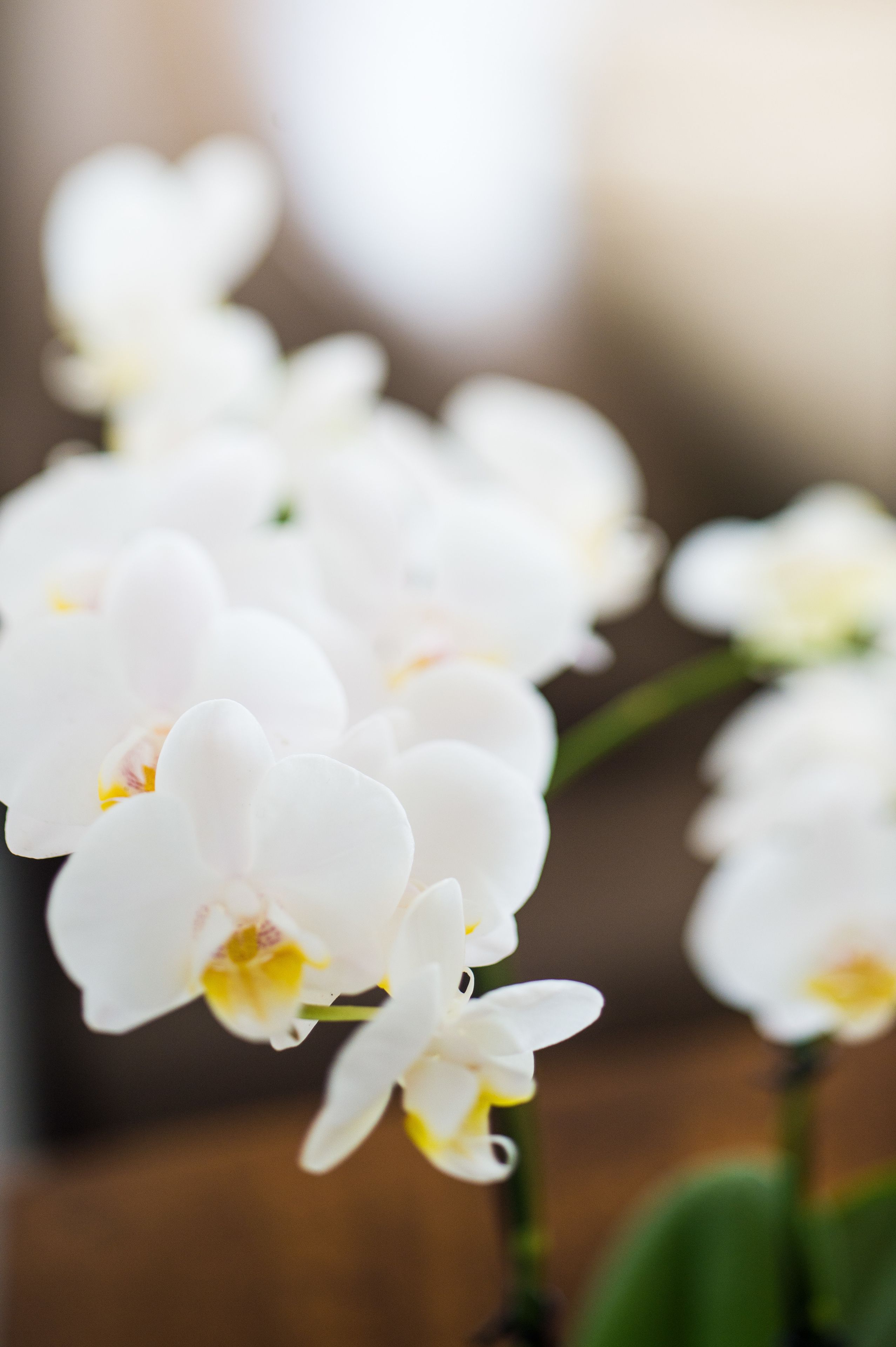 2 bedrooms, premium bedding, pillow-top beds, in-room safe