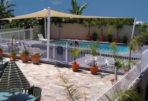 Outdoor pool, pool umbrellas, sun loungers