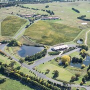 Turners Vineyard 