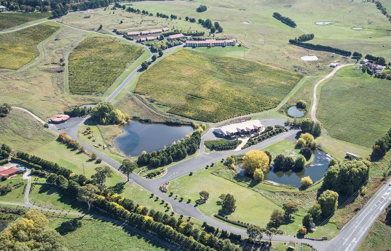 Turners Vineyard