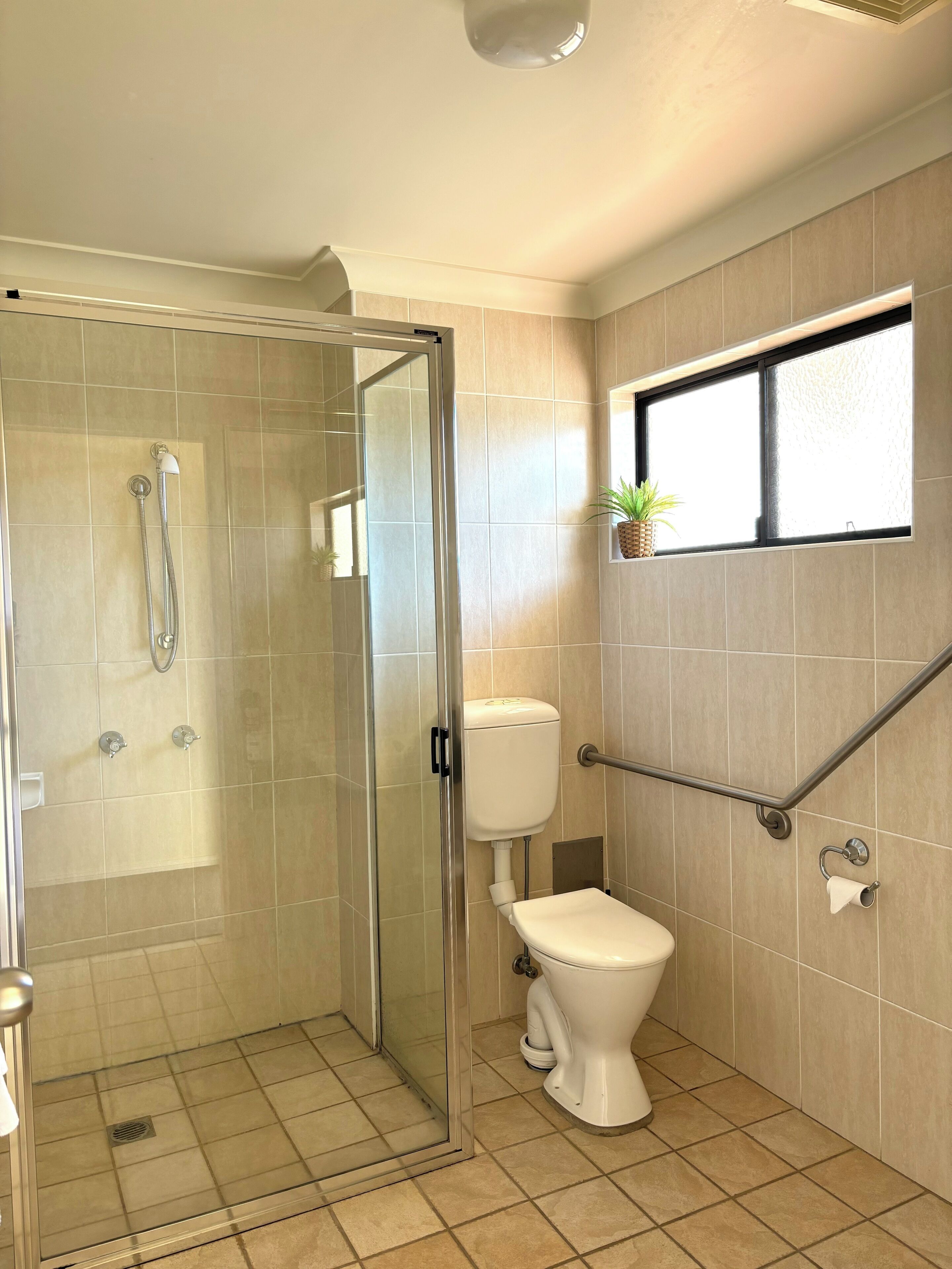 A modern bathroom with a glass-enclosed shower, a toilet, and a window with a plant.