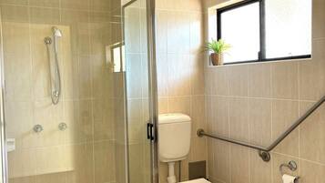 A modern bathroom with a glass-enclosed shower, a toilet, and a window with a plant.