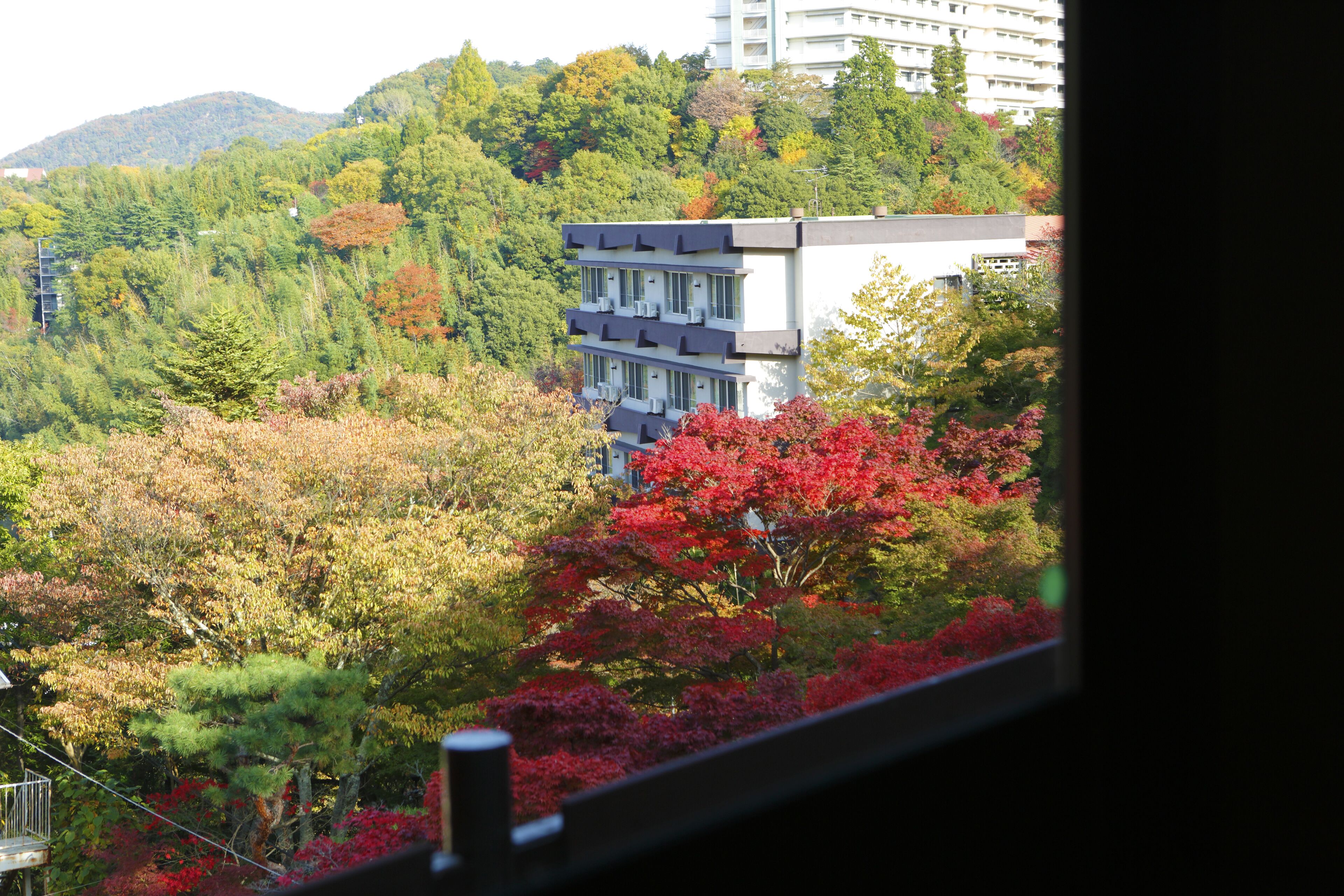 Une vue d’un bâtiment entouré de feuillage automnal.
