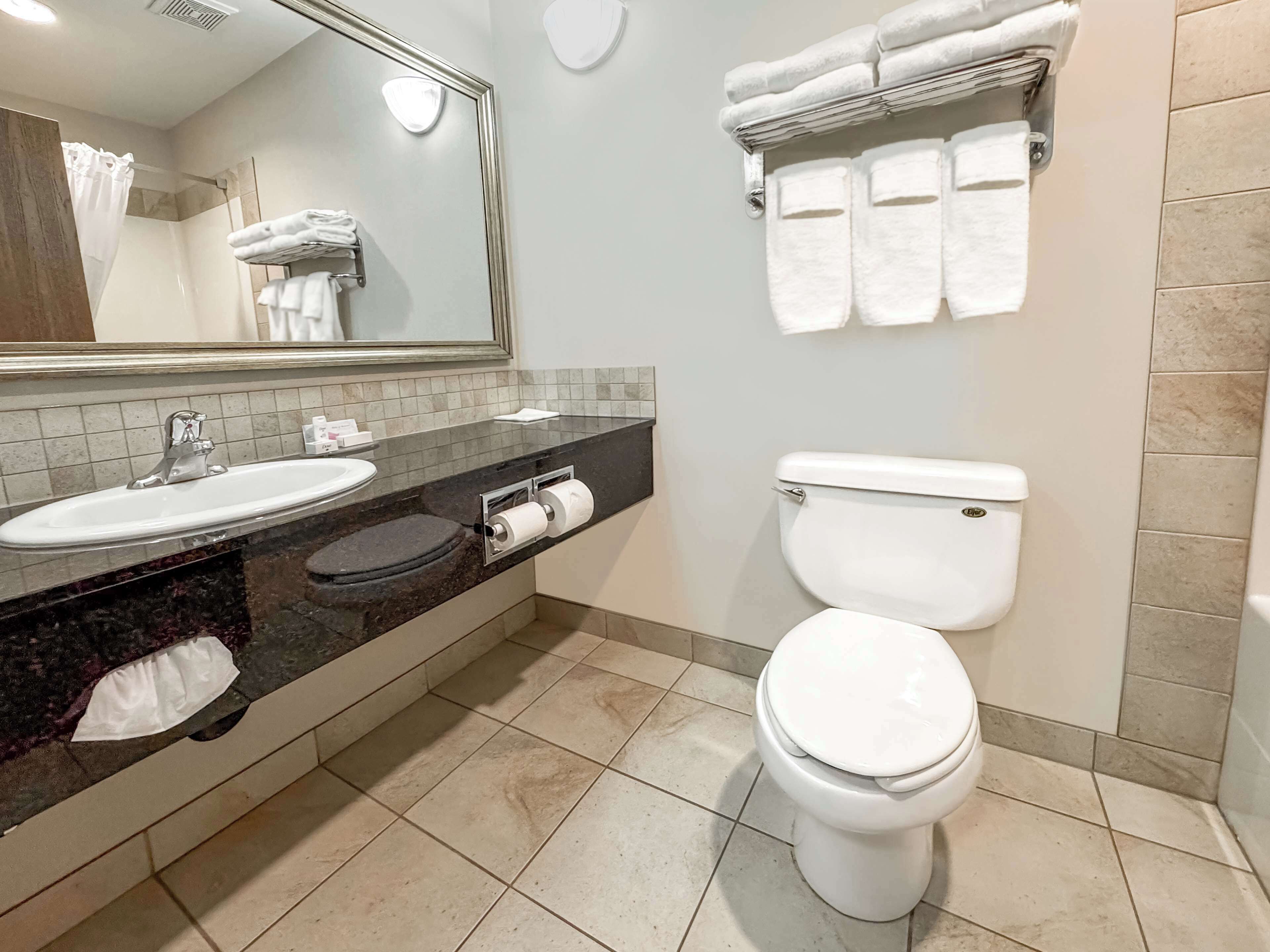 combined shower/bathtub, free toiletries, hair dryer, towels