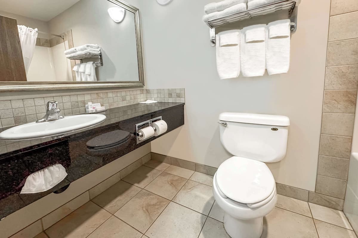 combined shower/bathtub, free toiletries, hair dryer, towels