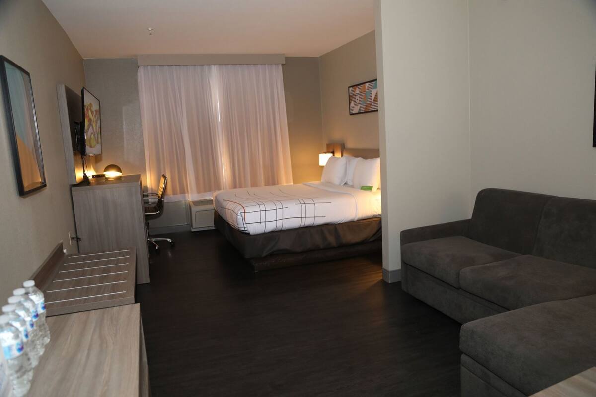 A hotel room with a bed, a sofa, a desk with a chair, a lamp, and a window with curtains.