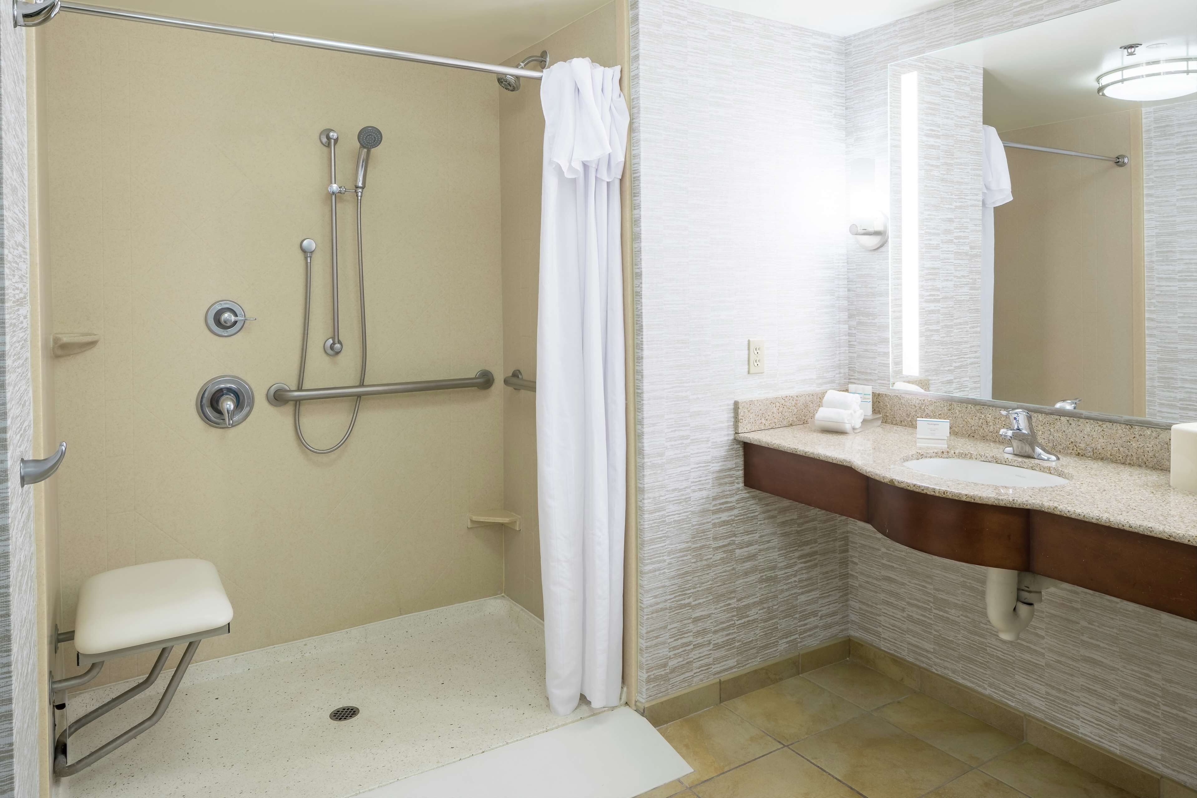 suite, 2 queen beds, accessible (mobility & hearing, roll-in shower) | bathroom shower