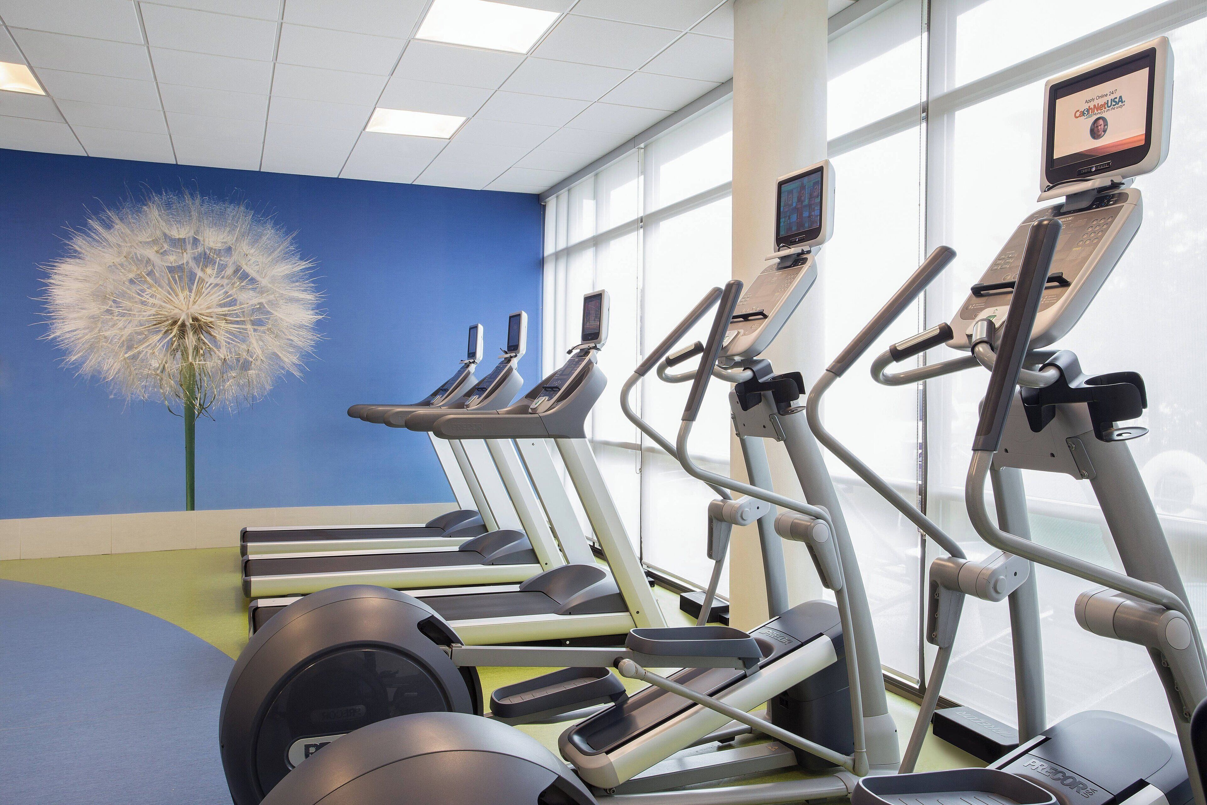 A gym with treadmills, a dandelion decoration, and a blue wall.