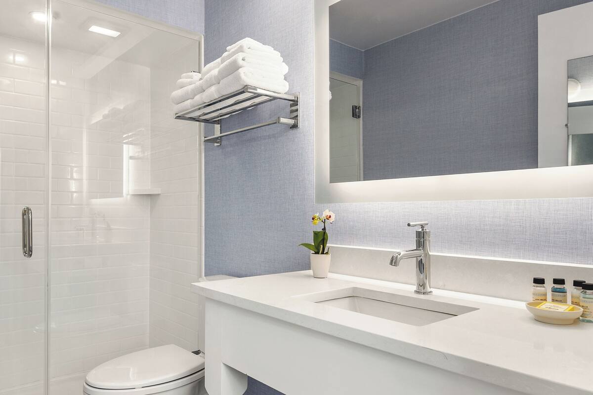 traditional room, 1 king bed | bathroom | combined shower/bathtub, free toiletries, hair dryer, towels