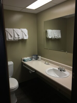 Standard-Doppelzimmer | Badezimmer | Dusche, Haartrockner, Handtücher
