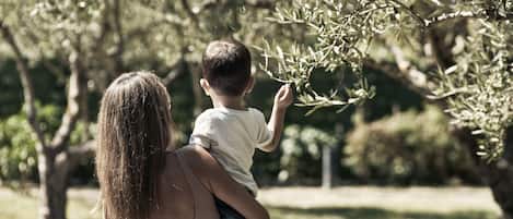 A woman carrying a child in a park with olive trees and grass.