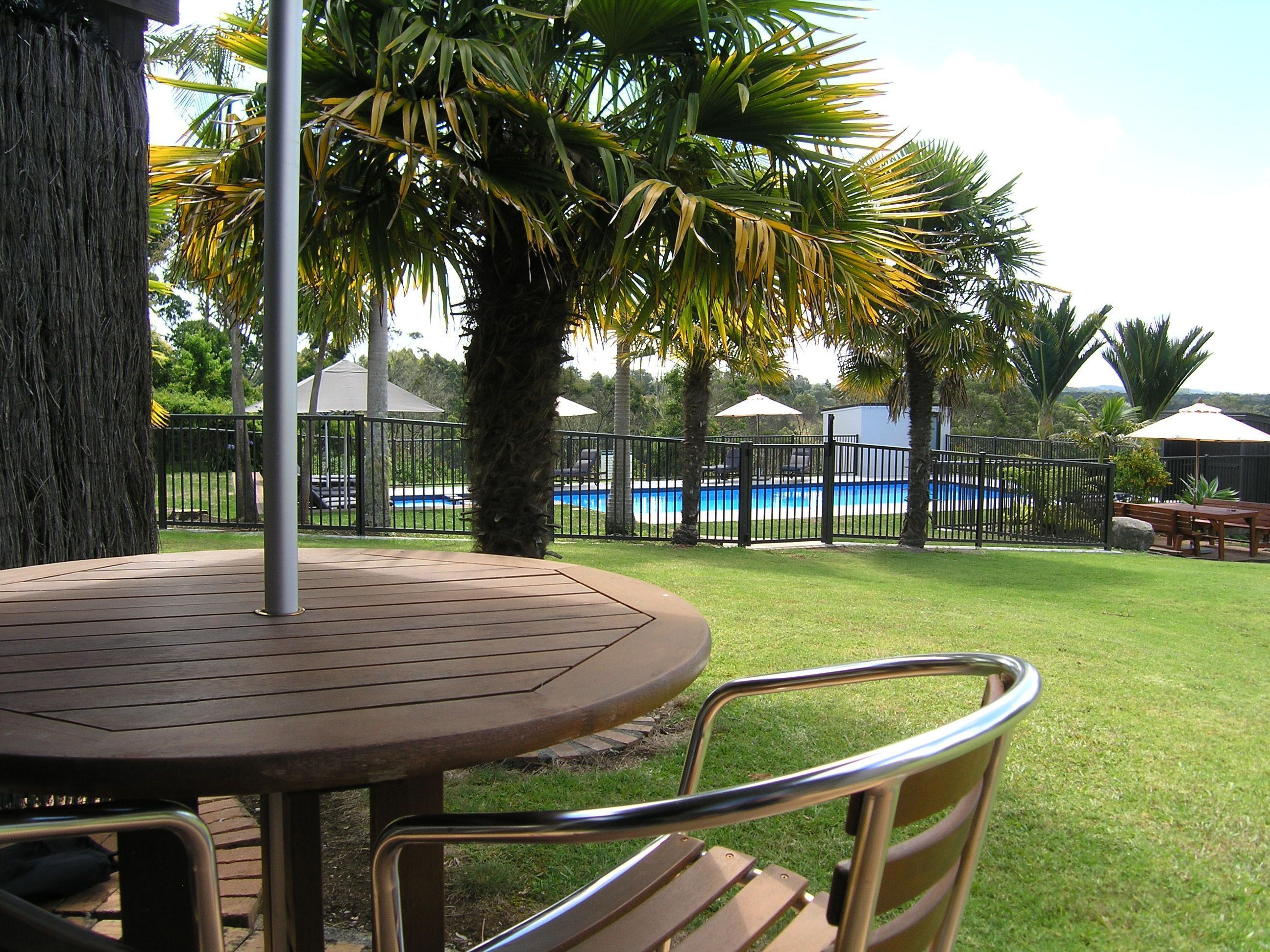 Un patio con piscina, rodeado de palmeras y una cerca.