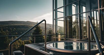 Hotel & Medi-SPA Bialy Kamien