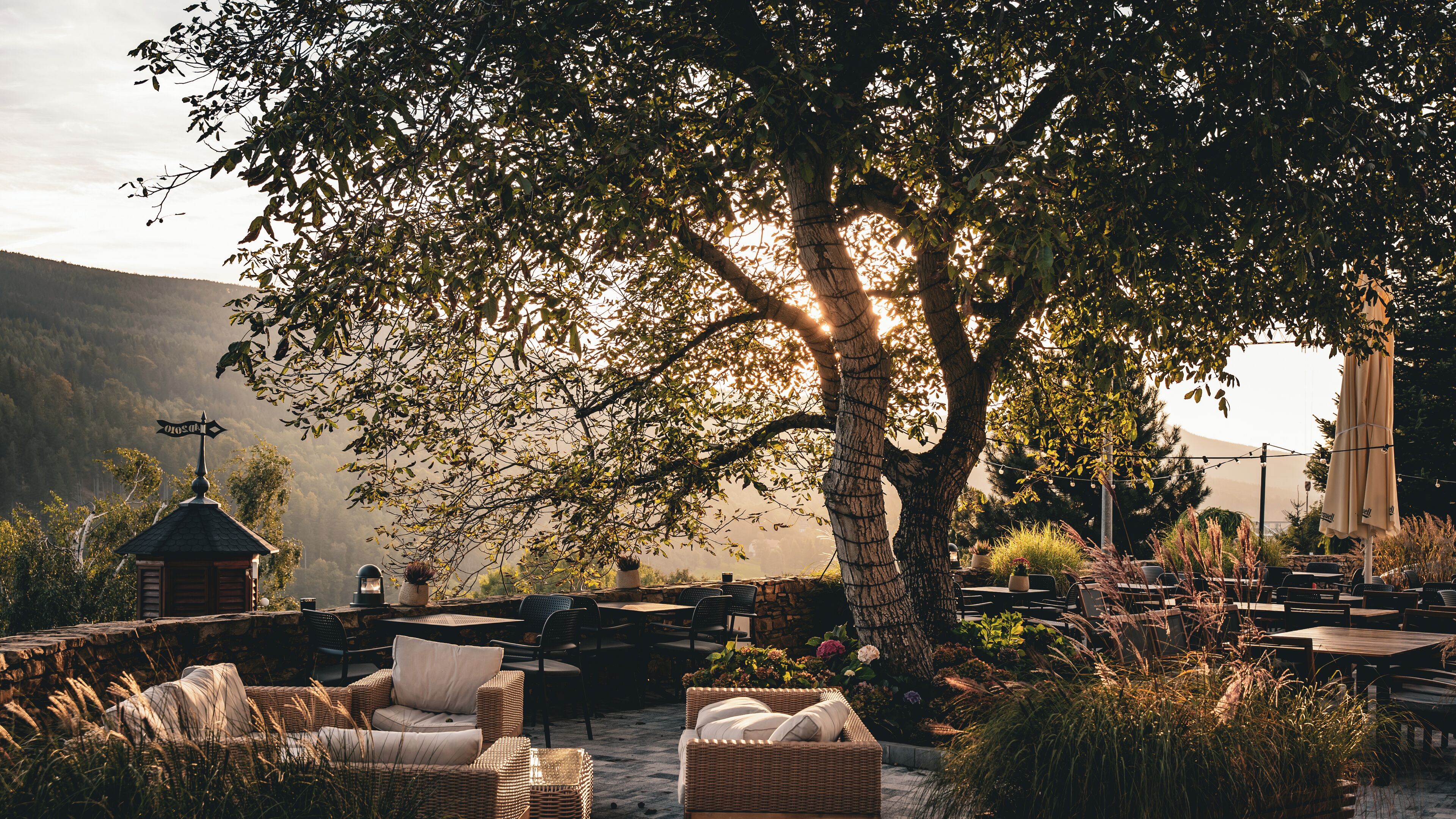 テラス / パティオ