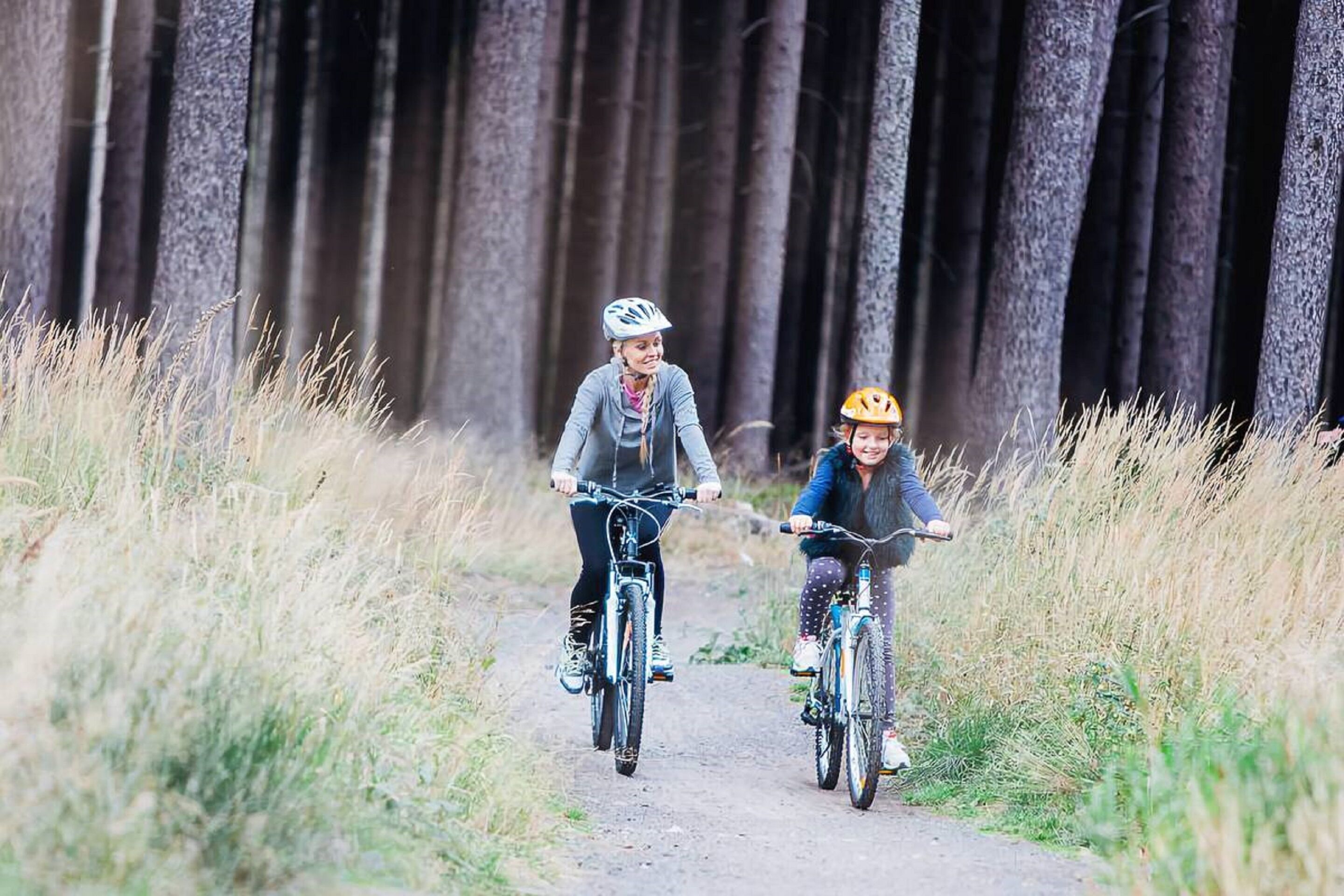 Dos personas andando en bicicleta por un sendero estrecho bordeado de árboles altos.