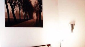Un dormitorio con cama, dos almohadas, una mesita de noche, una lámpara de pared y un cuadro de un sendero en el bosque.