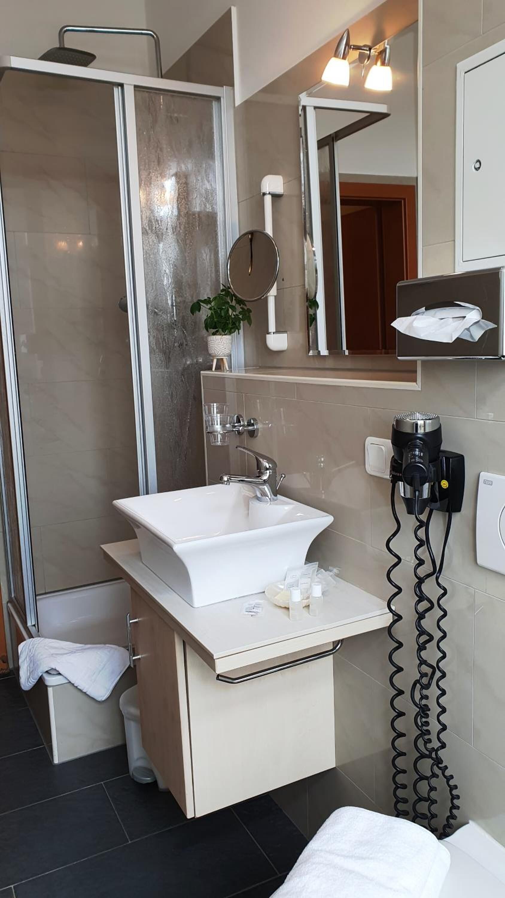 shower, rainfall showerhead, free toiletries, hair dryer