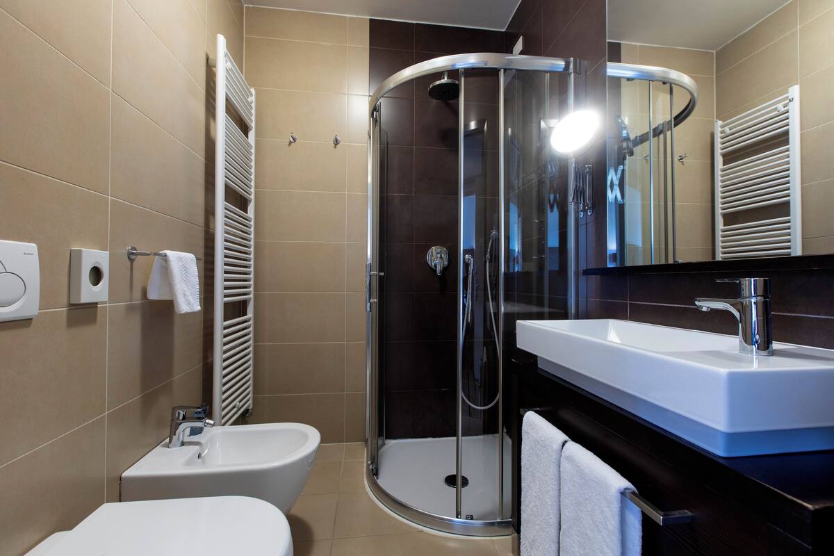 shower, free toiletries, hair dryer, towels