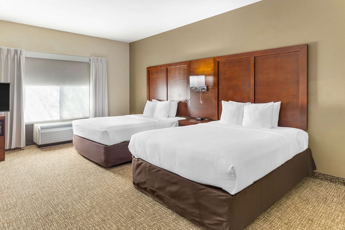 Luxe beddengoed, een bureau, een strijkplank/strijkijzer, gratis wifi