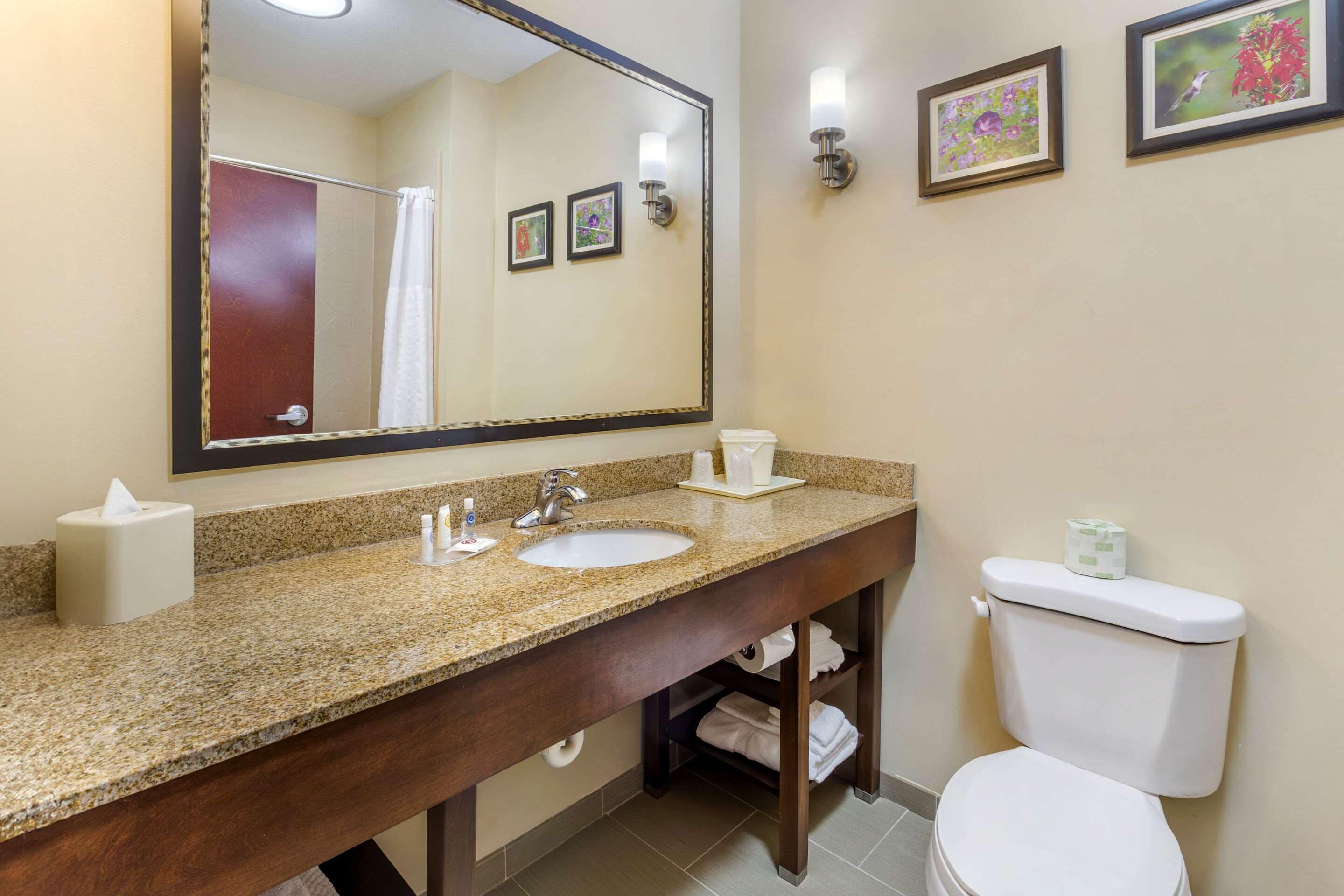 suite, 1 king bed with sofa bed, non smoking | premium bedding, desk, iron/ironing board, free wifi