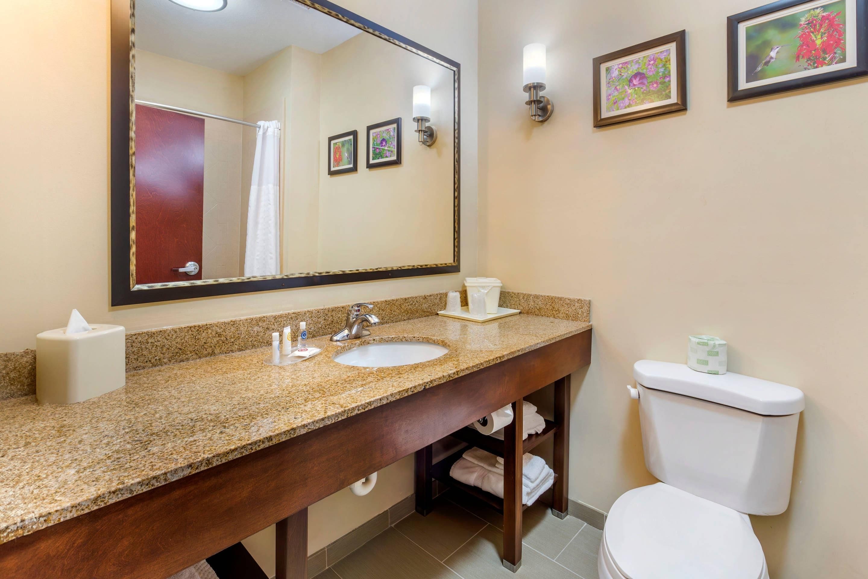 A bathroom with a granite countertop, a sink, a mirror, a toilet, and framed pictures on the wall.