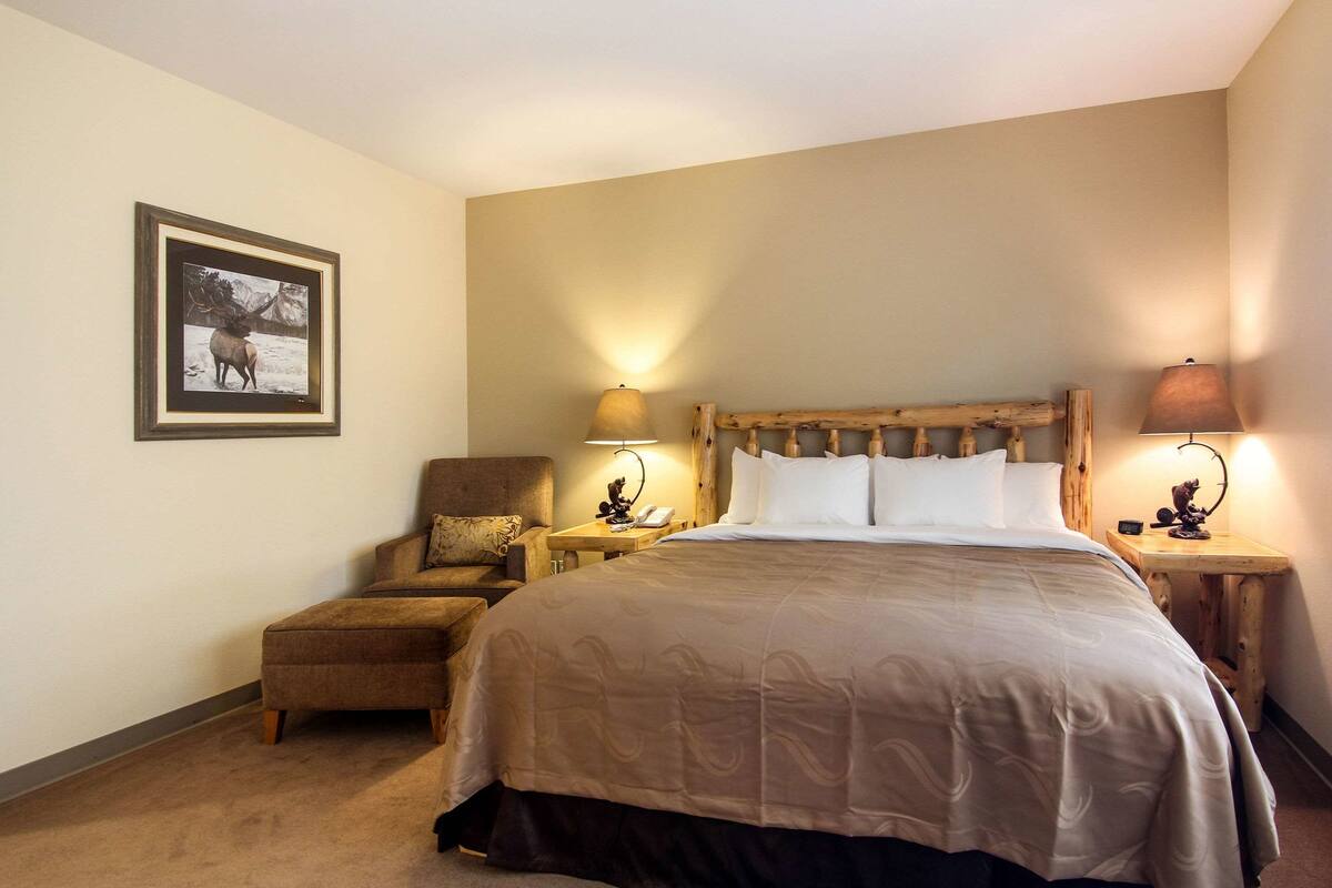 standard room, 1 king bed, non smoking | desk, iron/ironing board, free cots/infant beds, rollaway beds